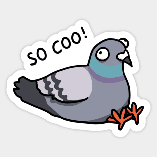 So coo pigeon Sticker